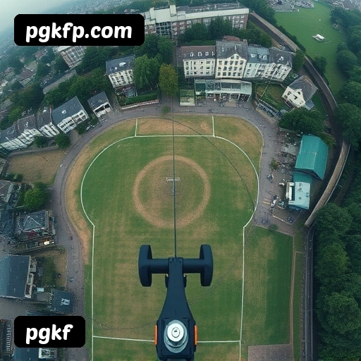 Níveis do programa VIP da pgkf